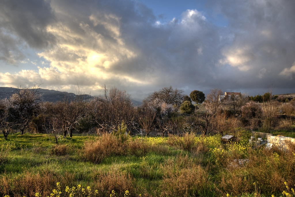 Villa Lania Royal Oak House By Trulycyprus Exterior foto